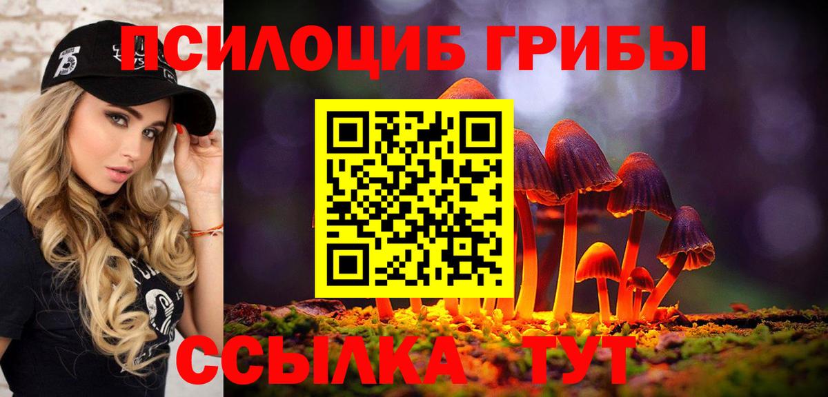 Галлюциногенные грибы мицелий  Псилоцибиновые грибы Cubensis  Вход с VPN  Нововоронеж 